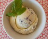 FRESH MINT WITH CHOCOLATE CHIPS